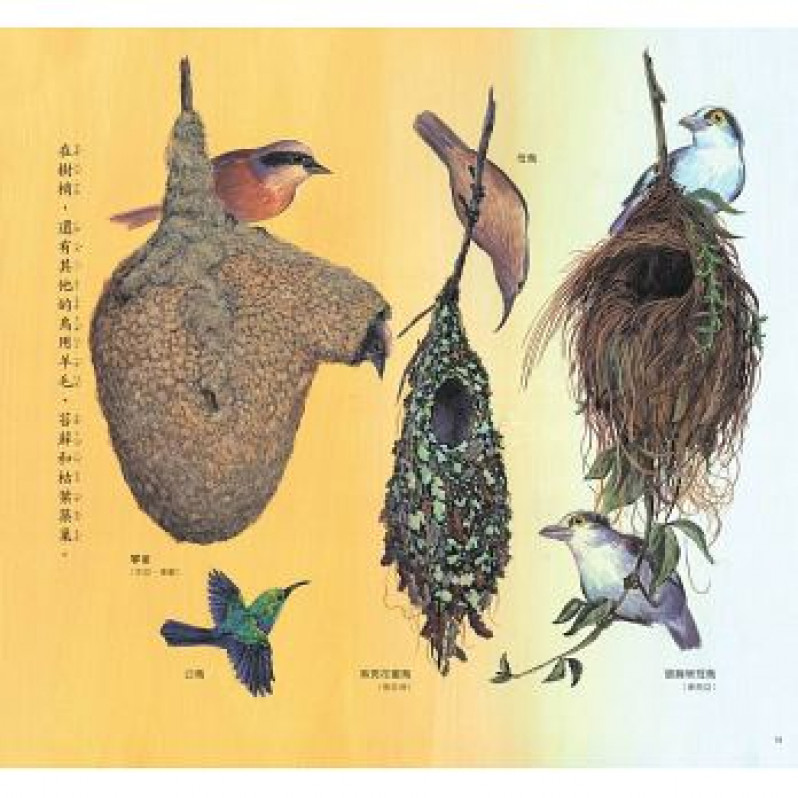 鳥巢大追蹤：50種鳥巢內幕大公開（精裝）