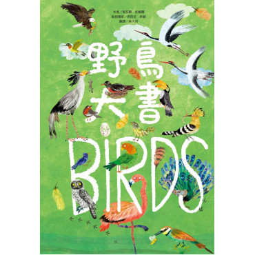 野鳥大書BIRDS