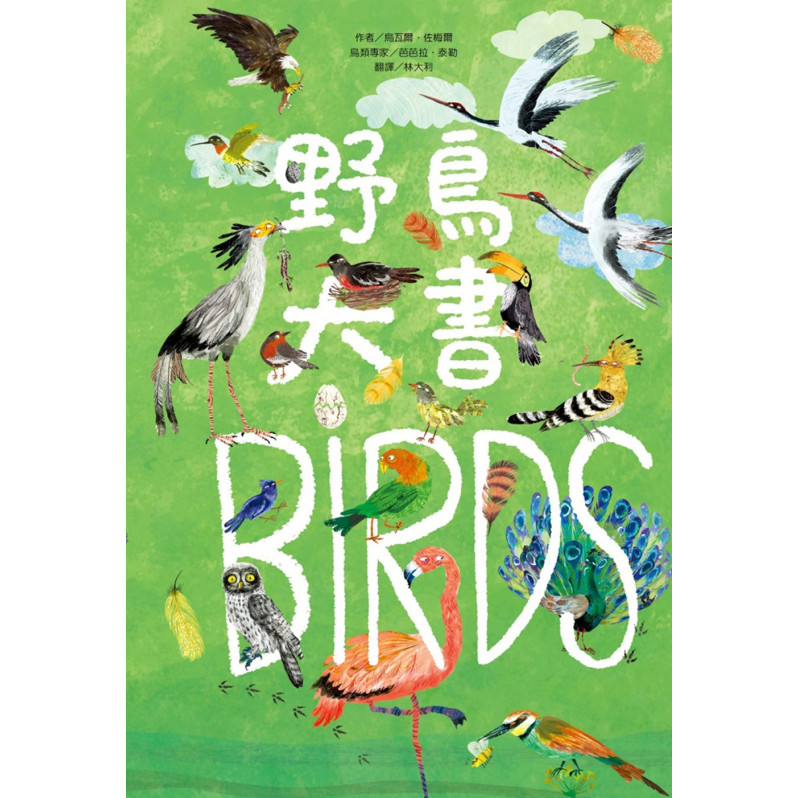 野鳥大書BIRDS