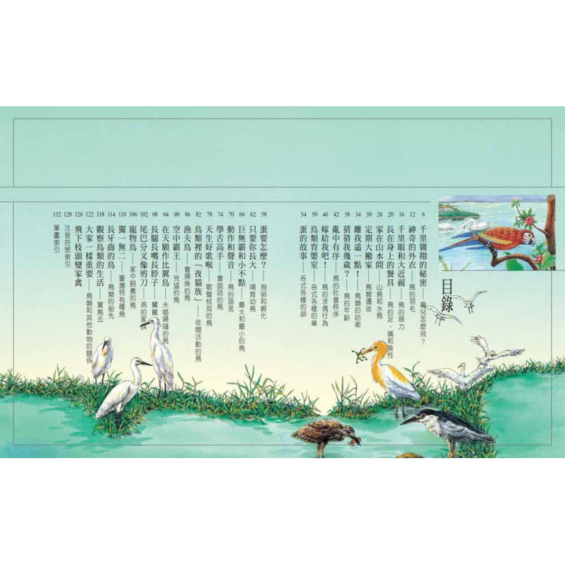 鳥類大追蹤(全新版)