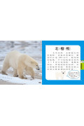 5Q益智教具：動物探險隊(內附動物+場景配件+動物圖鑑22PCS)