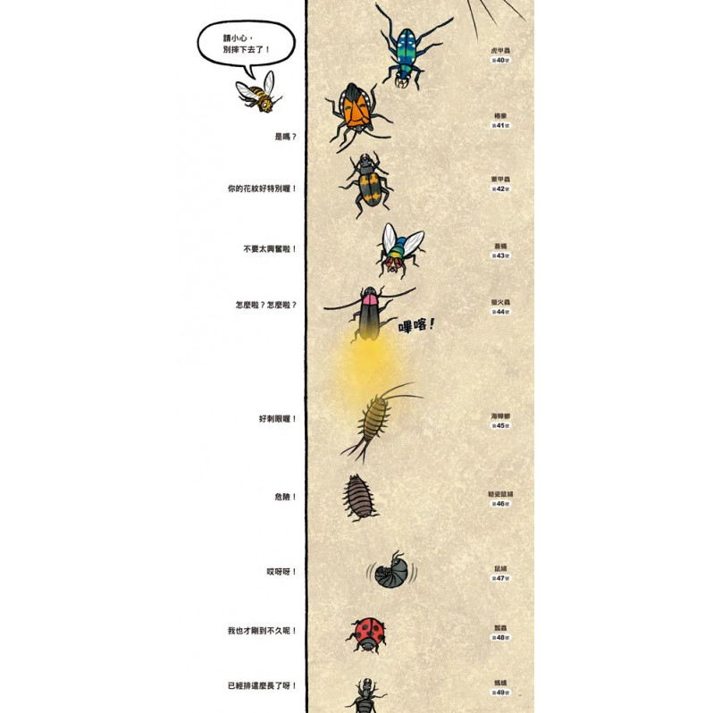 昆蟲在排什麼呢？（二版）