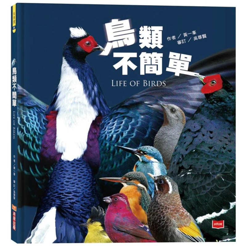 鳥類不簡單（新版）