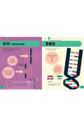 科學素養大百科：STEM必學的100個關鍵詞