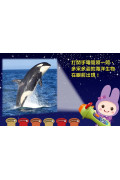 忍者兔魔法投影手電筒：海洋生物百科圖鑑【48張投影影像，帶你認識美麗又獨特的海洋生物！】