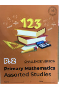 Primary Mathematics Assessment (Practice Version) P2