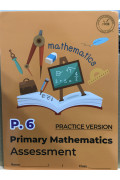 Primary Mathematics Assessment (Practice Version) P6