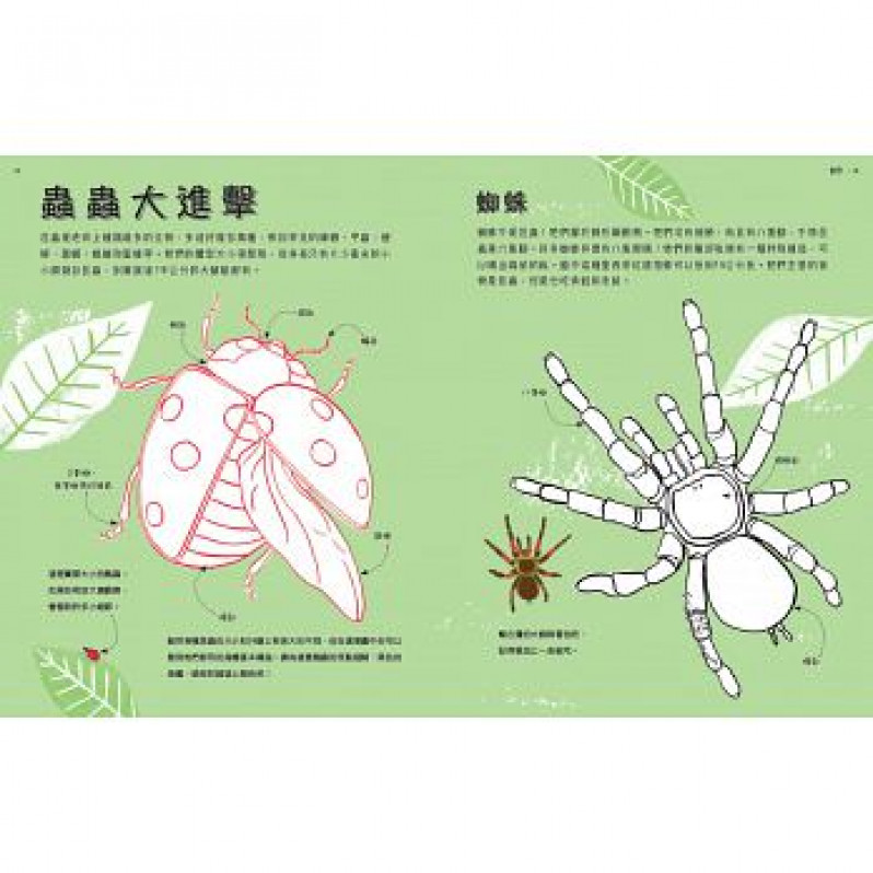 原來科學這麼好玩：30種翻轉思考的手作活動